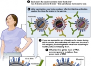 Influenza Report 2006