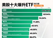 年中盤點 ｜ 美股十大爆升ETF出爐！半導體相關ETF最高飆漲200%，標普500與比特幣ETF爲“吸金王者”