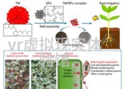 元宇宙产业大发展人工智能岗位薪资已登顶